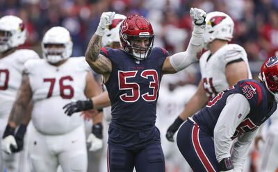 Texans LB Blake Cashman named team’s ‘secret superstar’ in 2023