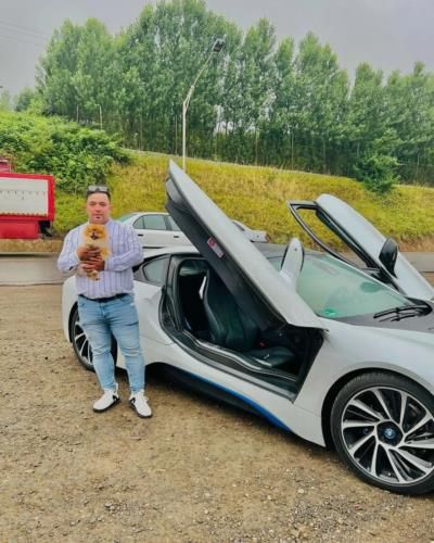 Lang Ping's Stylish Silver BMW i8 and Loyal Companion