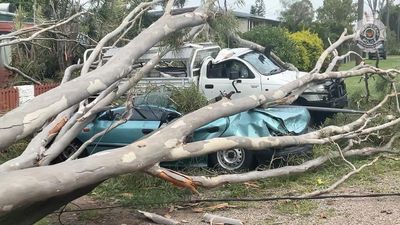 Hardship grants offered as cyclone power outages remain