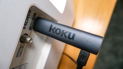 How to access the secret Roku menus