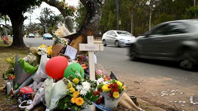 Call to reveal more data amid grim road deaths tally