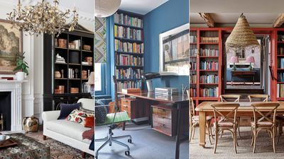 Why is the 'bookshelf wealth' trend causing such a stir? We asked a book curator about the controversial style