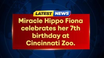 Miracle hippo Fiona celebrates 7th birthday at Cincinnati Zoo