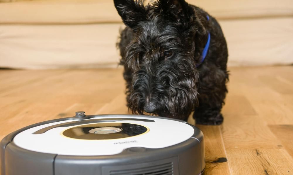 Scraps Deal to Buy Roomba Maker iRobot Amid Scrutiny - The