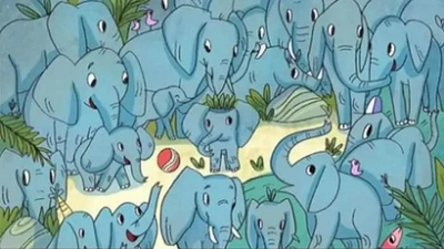 Can you spot the baby Rhino among these Elephants in under 6 seconds?