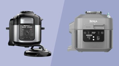 Ninja Foodi vs. Speedi: which multi-function air fryer reigns supreme?