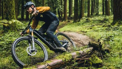 Bespoken Word – With funding issues really starting to bite, is mountain biking in real danger of not being able to see the wood for the trees?