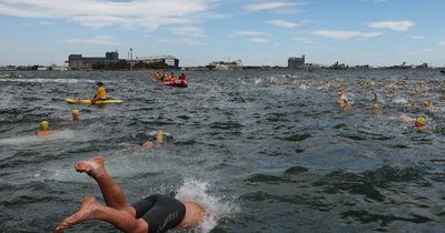 Harbour swim's steep entry fee excludes many