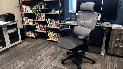 Flexispot C7 ergonomic office chair review