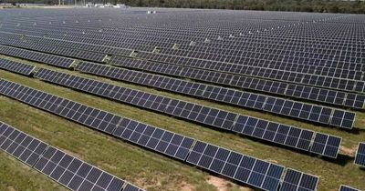 Clock is ticking on successful energy transition, Committee for Hunter warns