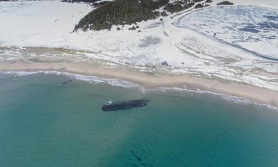 ‘Let’s find out’: shipwreck mysteriously appears on Newfoundland coast