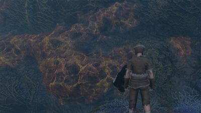Where to find amber in Enshrouded