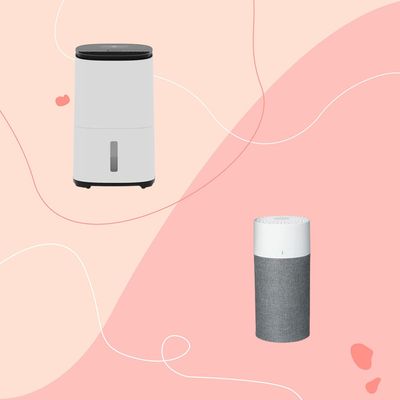 Air purifiers and dehumidifiers serve very different purposes – this is the one you should *actually* choose for a healthy and happy home