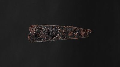 Denmark's oldest runes inscribed on ancient knife
