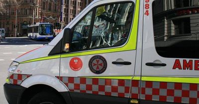 Woman attacked by shark in Sydney harbour: severe blood loss, leg injury