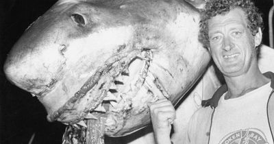 FROM THE ARCHIVES: Shark sightings of the Hunter in photos