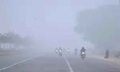 Dense fog blanks out North Indian belt, several states report visibility issues