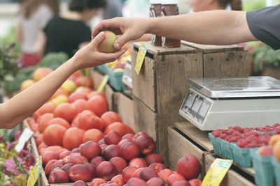 Combatting Food Stamp Fraud: Your Guide to Detection and Reporting
