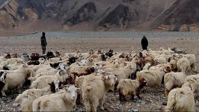 Graziers confront Chinese soldiers in eastern Ladakh