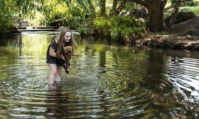 UK heatwave plan urgently needed to save lives, say MPs