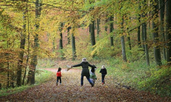 The Book of Hygge review – can the Danes really teach us how to live?