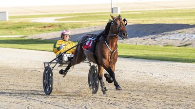 'Horse mistreatment, race fixing' in harness industry