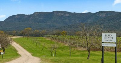 New wine brand to launch after $4.25m sale of Black Cluster vineyard in Pokolbin