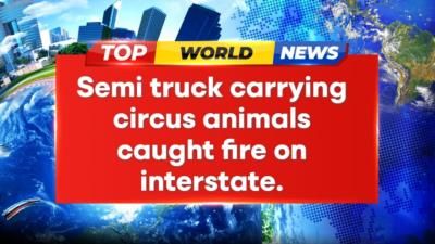 Circus animals rescued from burning truck on Indiana interstate