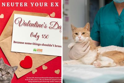 “Some Things Shouldn’t Breed”: Animal Shelter Promotes A Hilarious Valentine’s Day Campaign
