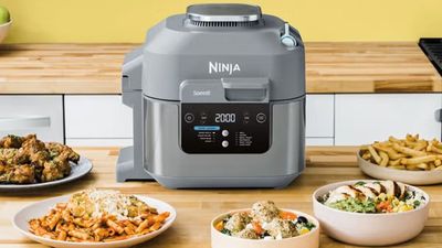Ninja Speedi Rapid Cooker and Air Fryer review – delicious meals in minutes