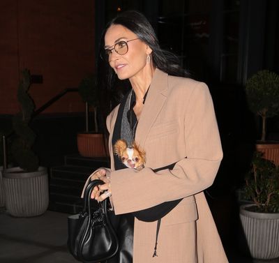 Ask, and You Shall Receive: A Timeline of Demi Moore Carrying Her Dog Pilaf Like an Accessory