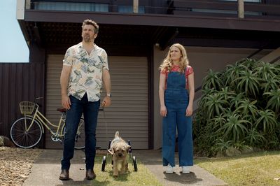 Aussie Comedy ‘Colin From Accounts’ Renewed at Paramount Plus