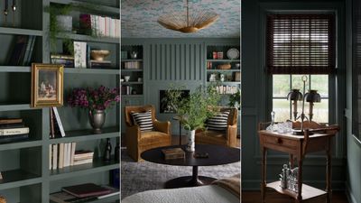 This serene yet moody home library project offers a literary escape for a busy mother-daughter team