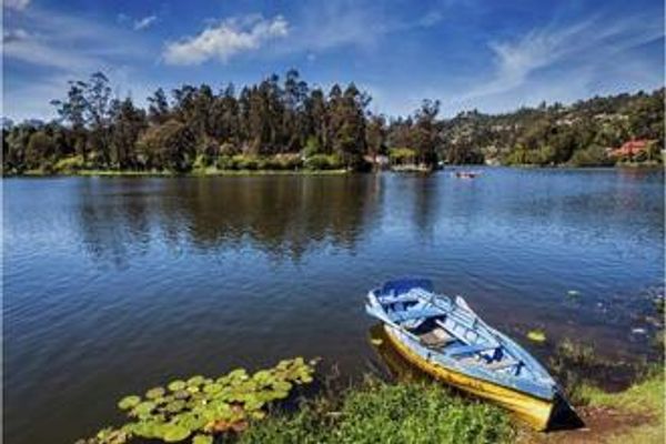 Chennai to Kodaikanal: A walk on the wild side