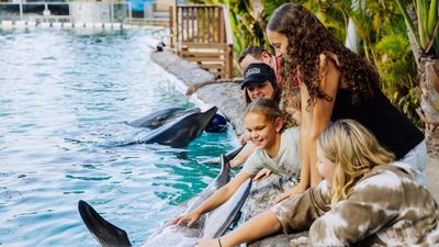 Dolphin swim party defended as park goes not-for-profit