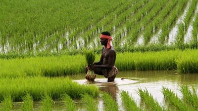 PM KISAN Yojana | FM Nirmala Sitharaman says 11.8 crore farmers receive financial assistance