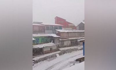 Winter wonderland in Jammu and Kashmir: Snowfall transforms Basantgarh valley, Gulmarg