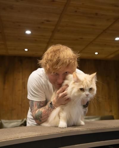 Ed Sheeran's Cat Cuddles and Chords Stealing Hearts in Snapshots