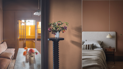 Is this the perfect shade of brown? Designers talk us through the rise of cinnamon tones for spring 2024