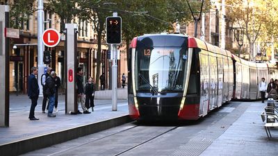 'Trackless trams' tipped to save emissions and budgets