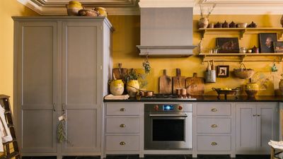 What colors go best with gray kitchen cabinets? Interior designers explain how to decorate with this cool neutral