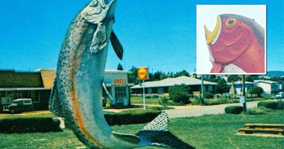 Adaminaby's Big Trout has become the big laughing stock to locals