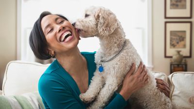 Boost your dog's happiness in just five minutes with this simple tip from an expert trainer