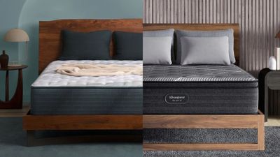Beautyrest Harmony Lux vs Beautyrest Black: Which luxury mattress should you buy?