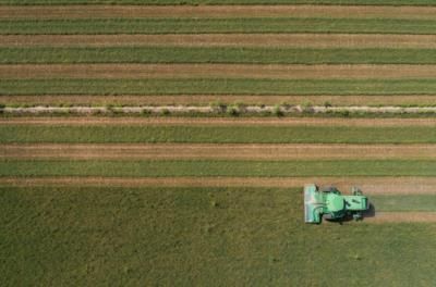 Australian farmers hit by Indonesian import permit delays