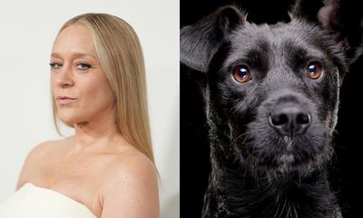 ‘I’m annoying, to some degree’: New York’s dog owners debate Chloë Sevigny’s anti-pup take