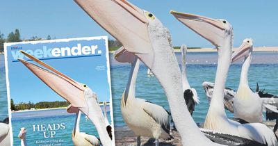 Your Weekender reads: Central Coast adventures; IVF journey; war medal mystery solved; hot concerts and much more
