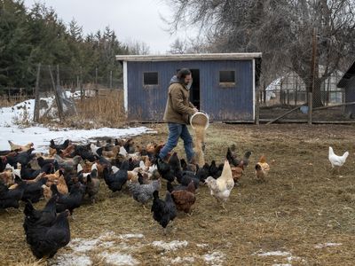 A big idea for small farms: How to link agriculture, nutrition and public health