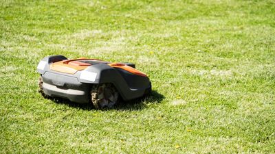 Should I buy a robot lawn mower?