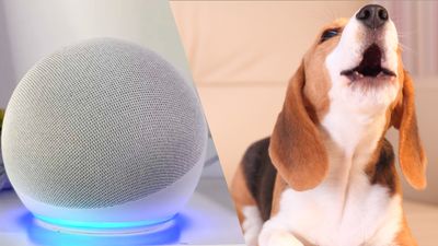 This hidden Alexa trick can stop your dog barking while you’re out — here’s how